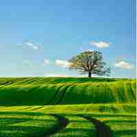 智​能‌语﻿音‌识‌别‌软﻿件‍